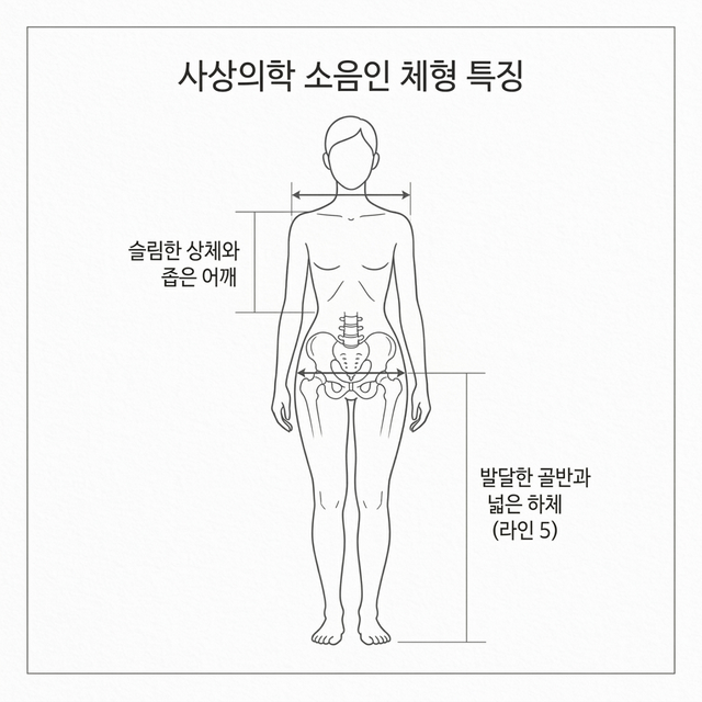 소음인 (신대비소)