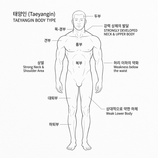 태양인 (폐대간소)
